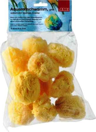 AMI Natuurspons set 10 - 6cm