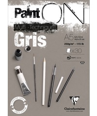 Clairefontaine Paint on gris A5 250gr