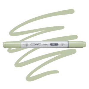 Copic marker ciao G21 lime green
