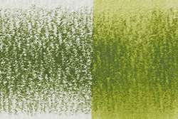 Derwent Inktense 1560 varengroen