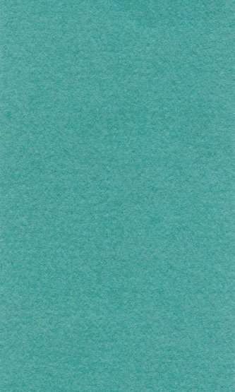 Hahnemhle lana pastelpapier 160gr 50 x 65 mint - alleen afhalen Veenendaal