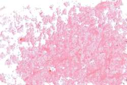 Jaxon 1000 oliepastel - kraproze