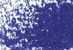 Jaxon 1000 oliepastel - paars