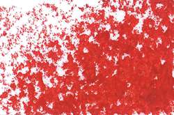 Jaxon 1000 oliepastel - rood