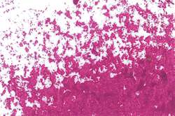 Jaxon 1000 oliepastel - roze rood