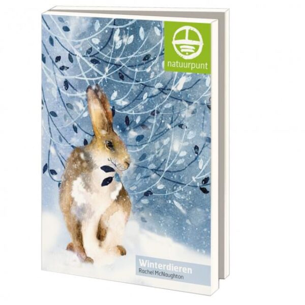 Kerstkaartenset - Winterdieren, Rachel McNaughton, set 10 kaarten