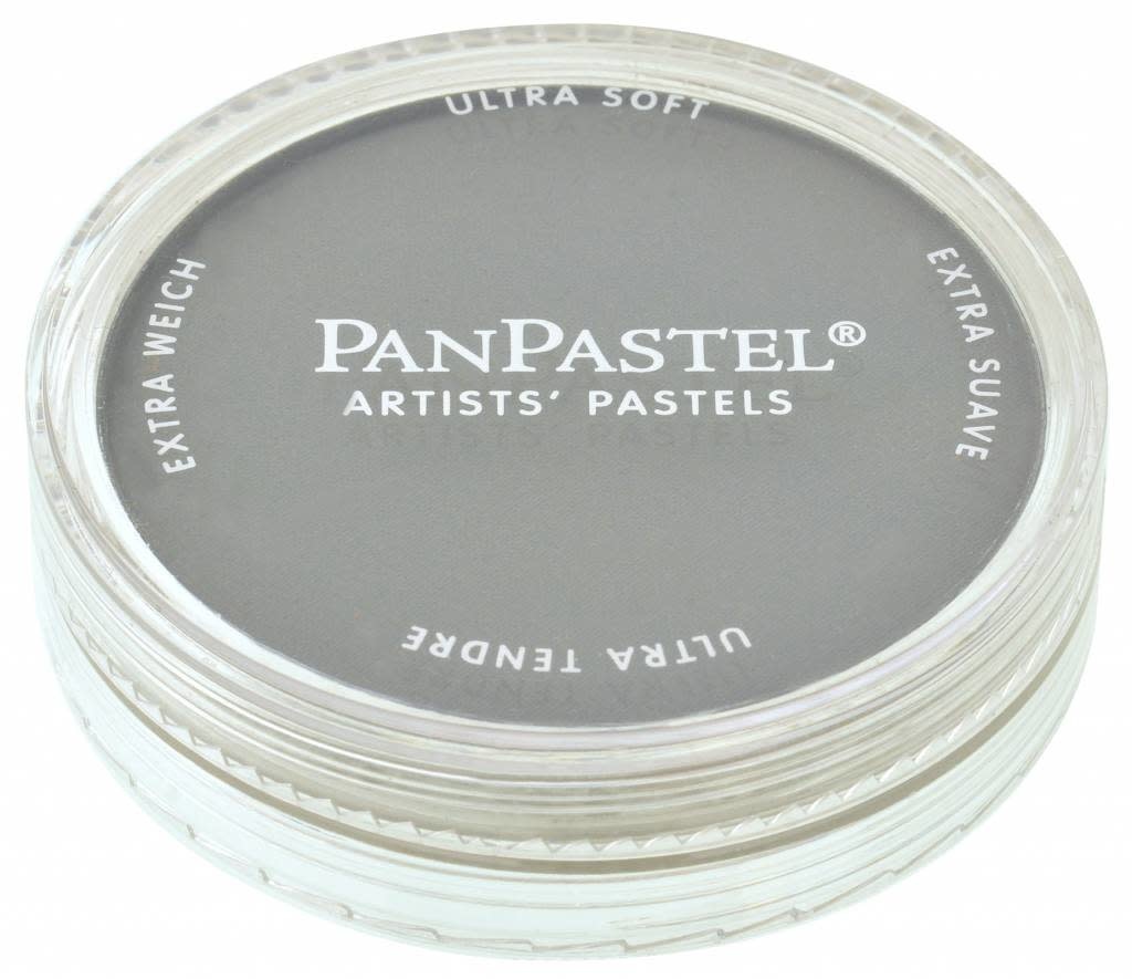 PanPastel - 820.3 neutral grey shade