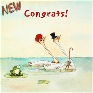 Wenskaart blic Marius van Dokkum - Congrats! - 12 x 12