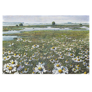 Wenskaart Drago Pecenica - kamille langs de IJssel - 15 x 15