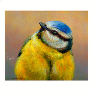 Wenskaart Erik van Ommeren - Pimpelmees - 10 x 10