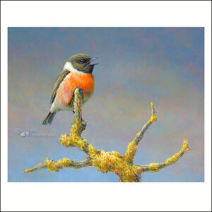 Wenskaart Erik van Ommeren - Roodborststapuit - 15 x 15