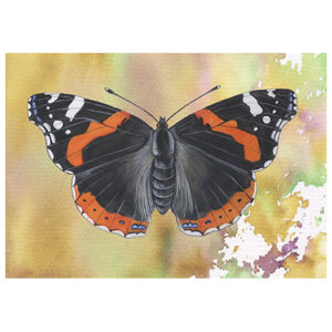 Wenskaart Jasper de Ruiter - Atalanta