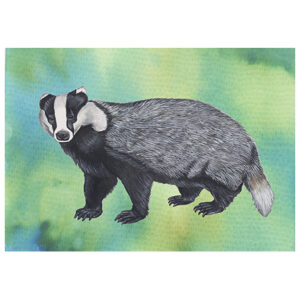 Wenskaart Jasper de Ruiter - Das