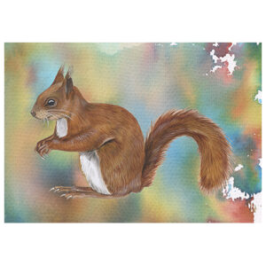 Wenskaart Jasper de Ruiter - Eekhoorn