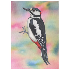 Wenskaart Jasper de Ruiter - Grote bonte specht