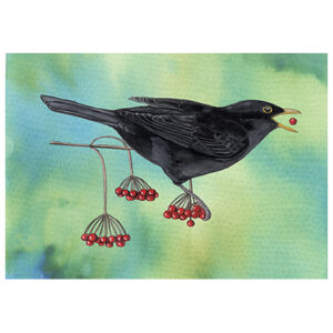 Wenskaart Jasper de Ruiter - Merel