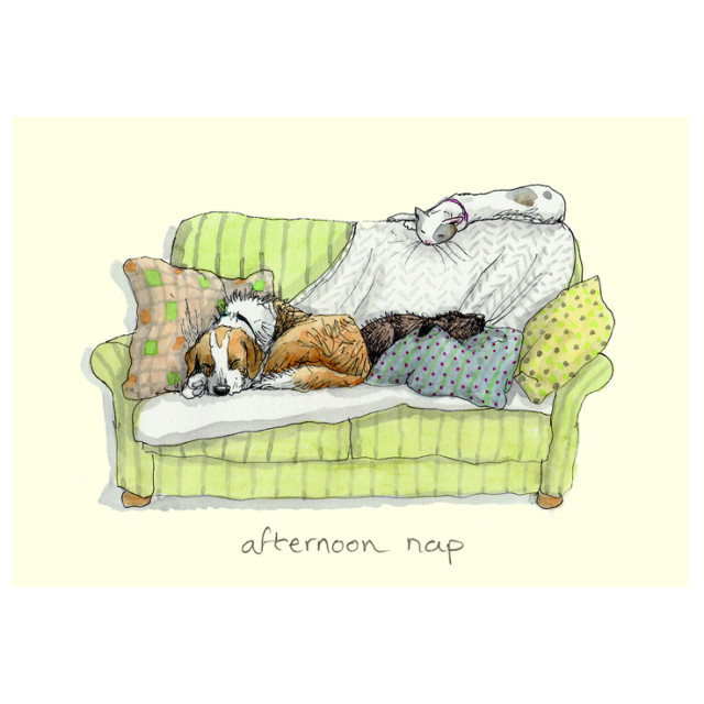 Wenskaart - Afternoon nap, Anita Jeram
