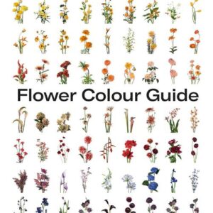 Flower Colour Guide - Taylor Putnam