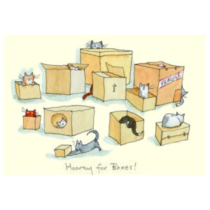 Wenskaart - Hooray for boxes, Anita Jeram