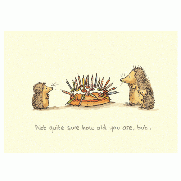Wenskaart - Not quite sure how old you are, but, Anita Jeram
