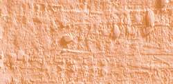 Caran d'ache neopastel - 051 salmon