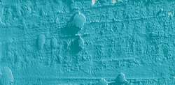 Caran d'ache neopastel - 171 turquoise blue