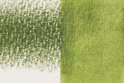 Derwent Inktense - 1340 Olivine
