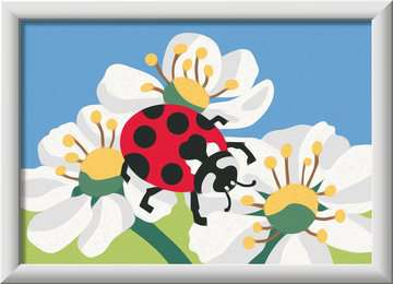 Ravensburger schilder op nummer - 13 x 18 - 7+ Lady bug