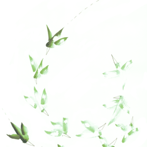 Ansichtkaart Marije - Als een vogel zo vrij