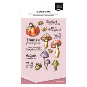 Vaessen Creative clearstamp - Hey pumpkin