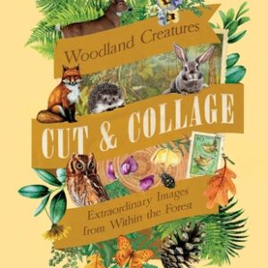 Cut & Collage Woodland Creatures - Earth Aware Editions