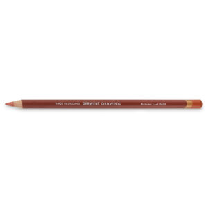 Derwent Drawing - 0600 autumn leaf