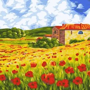 Artventura Schilderen op Nummer - Papaver Veld - 40x50 cm