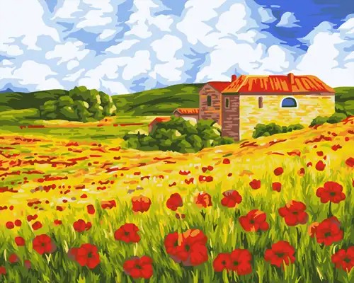 Artventura Schilderen op Nummer - Papaver Veld - 40x50 cm