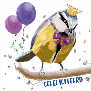 Wenskaart Petit Paris Illustraties - Gefeliciteerd