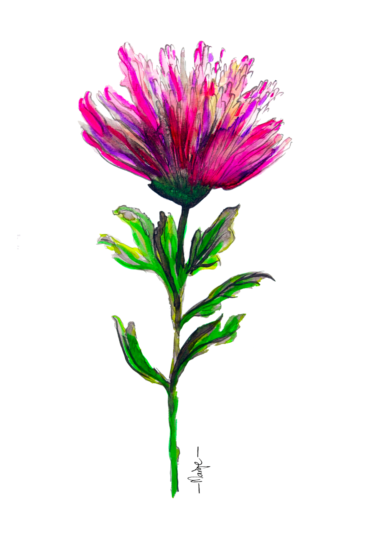 Ansichtkaart Marije - Chrysant