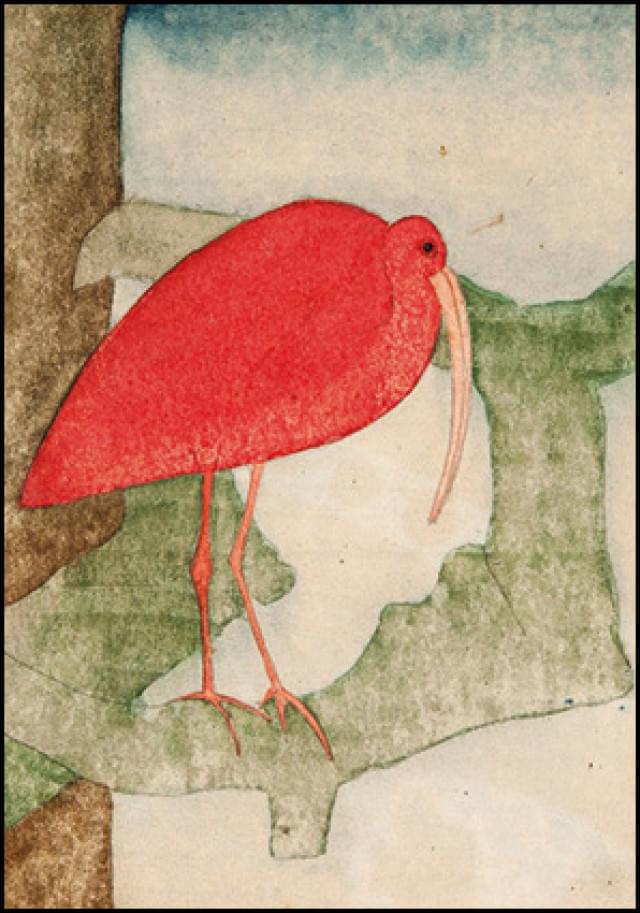 Ansichtkaart PC2744 - Rode Ibis - Samuel Jessurum de Mesquita