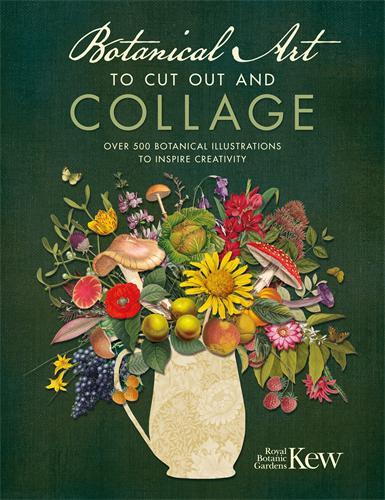 Botanical Art to Cut out and Collage, Kew Royal Botanic Gardens