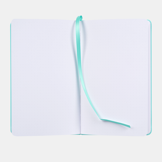 Bruynzeel bullet journal - turquoise