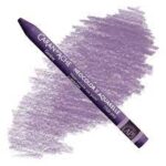 Caran d'ache neocolor 2 - 099 aubergine
