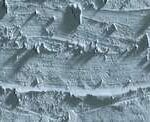 Caran d'ache neopastel - 004 steel grey