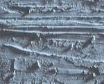 Caran d'ache neopastel - 005 grey