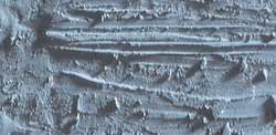 Caran d'ache neopastel - 005 grey
