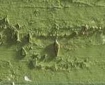 Caran d'ache neopastel - 016 khaki green