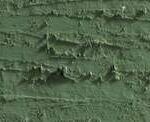 Caran d'ache neopastel - 018 olive grey