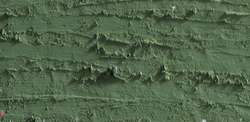 Caran d'ache neopastel - 018 olive grey