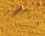 Caran d'ache neopastel - 033 golden ochre