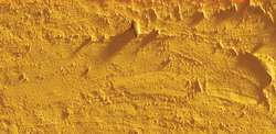 Caran d'ache neopastel - 033 golden ochre