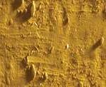 Caran d'ache neopastel - 035 ochre