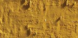 Caran d'ache neopastel - 035 ochre